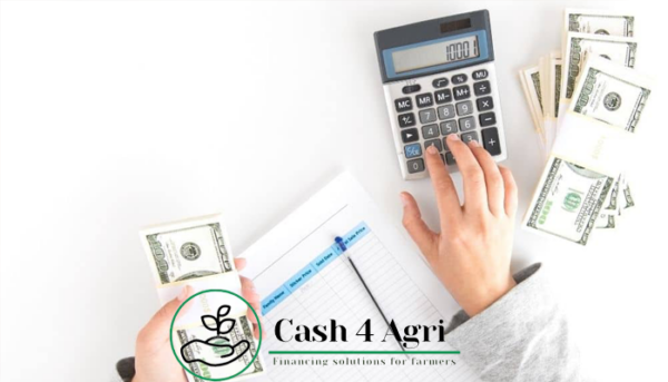 mangement-financiar